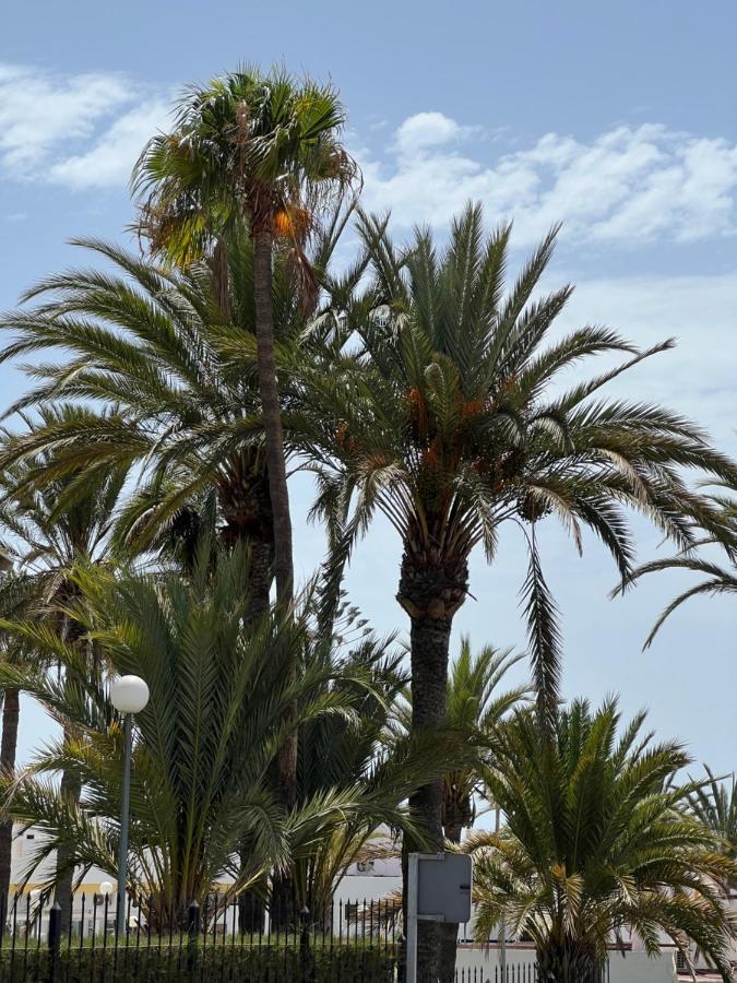 San Agustin Apartments , Close To The Beach, With Pool! San Bartolomé 外观 照片
